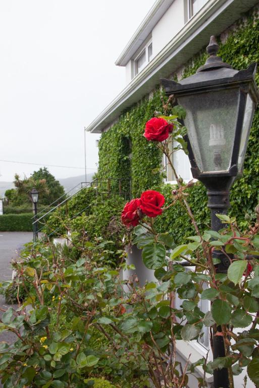 San Antoine B&B Cahersiveen Exteriér fotografie